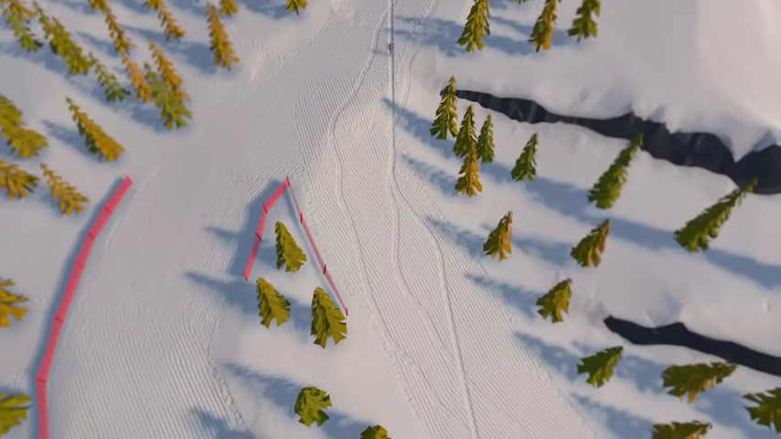 A Skiing Video Game?